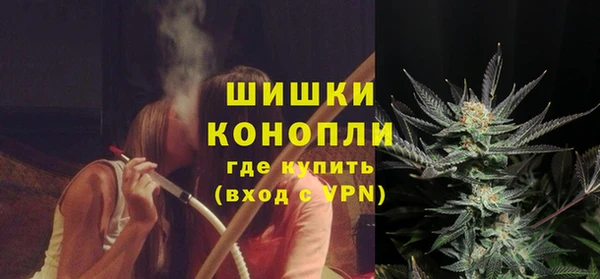 индика Волоколамск
