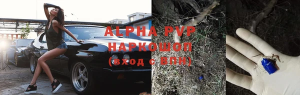 индика Волоколамск