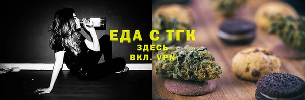индика Волоколамск