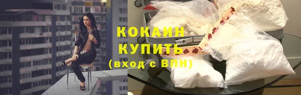 индика Волоколамск