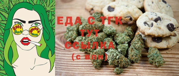 индика Волоколамск