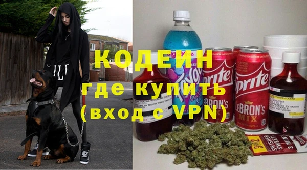 индика Волоколамск