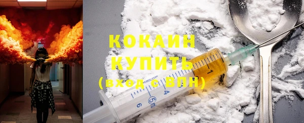 индика Волоколамск