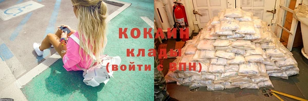 индика Волоколамск
