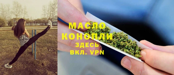 индика Волоколамск