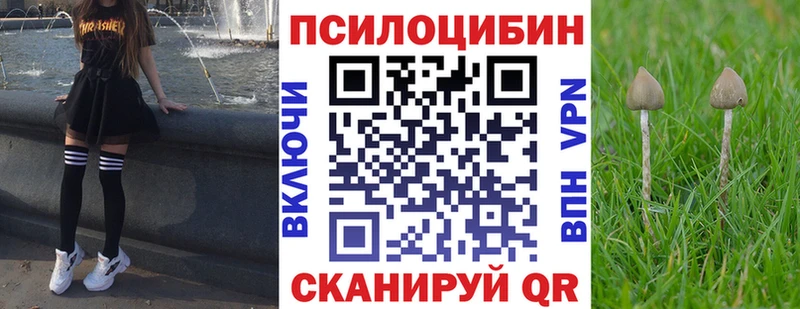 Купить Певек Псилоцибиновые грибы мицелий